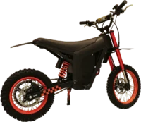 FREEBOY Y01 Off-Road Electric Bike product image view 3