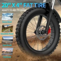 YVY C20 Retro Style Electric Bike ( formerly Ridstar Q20 ) product image view 4