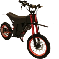 FREEBOY Y01 Off-Road Electric Bike product image view 1