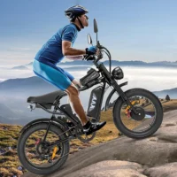 YVY C20 Max Electric Bike (formerly Ridstar Q20 PRO ) product image view 5