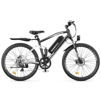 ISINWHEEL M50 Mountain Ebike product image view 12
