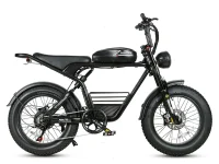 SAMEBIKE M20 Retro Street Electric Bicycle product image view 1