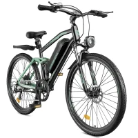 ISINWHEEL M50 Mountain Ebike product image view 9