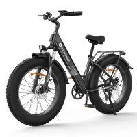 ISINWHEEL M60 All-terrain Electric Bike product image view 9