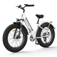ISINWHEEL M60 All-terrain Electric Bike product image view 7