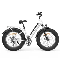 ISINWHEEL M60 All-terrain Electric Bike product image view 5