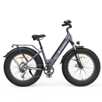 ISINWHEEL M60 All-terrain Electric Bike product image view 4