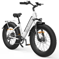 ISINWHEEL M60 All-terrain Electric Bike product image view 1