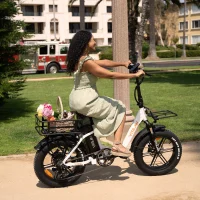 Vitilan Rear Basket for All Electric Bike product image view 4