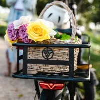 Vitilan Rear Basket for All Electric Bike product image view 3