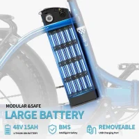 RIDSTAR MN-20 Electric Bike product image view 9