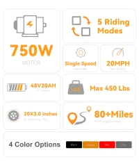 VICTRIP® T1 Folding Electric Trike product image view 32