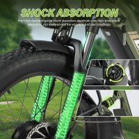 Baolujie DP-2401 Adult Electric Bicycle product image view 7