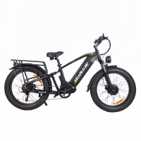 Baolujie DP-2401 Adult Electric Bicycle product image view 6