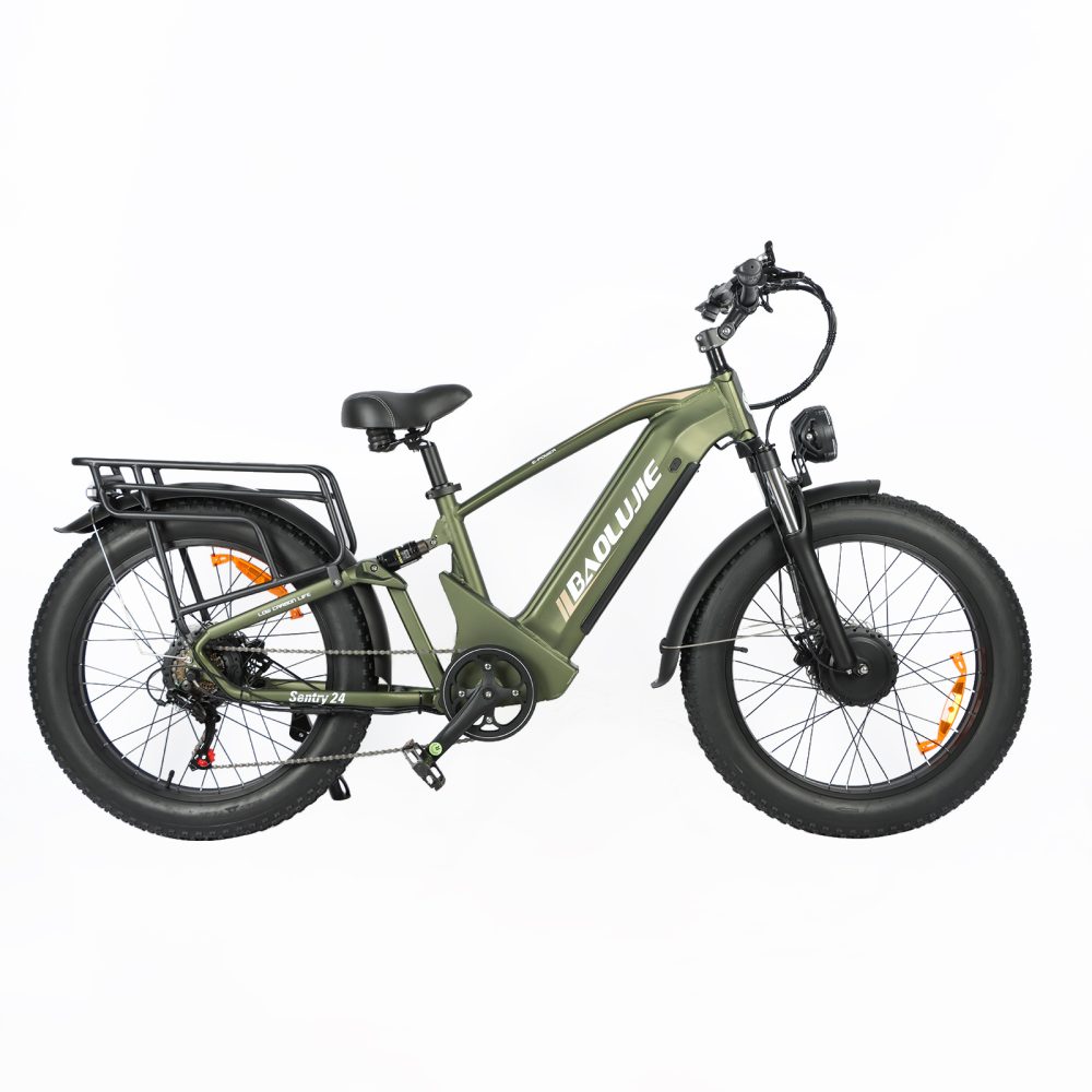 Baolujie DP-2401 Adult Electric Bicycle product image view 1