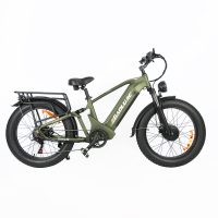 Baolujie DP-2401 Adult Electric Bicycle product image view 1