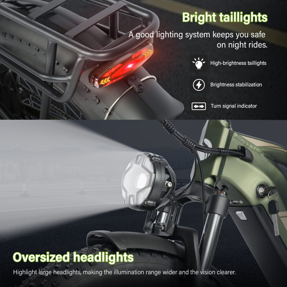 Baolujie DP-2401 Adult Electric Bicycle product image view 2
