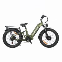 BAOLUJIE DP-2402 Dual Electric Bike product image view 5