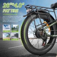 Baolujie DP-2401 Adult Electric Bicycle product image view 4