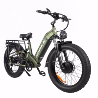BAOLUJIE DP-2402 Dual Electric Bike product image view 4
