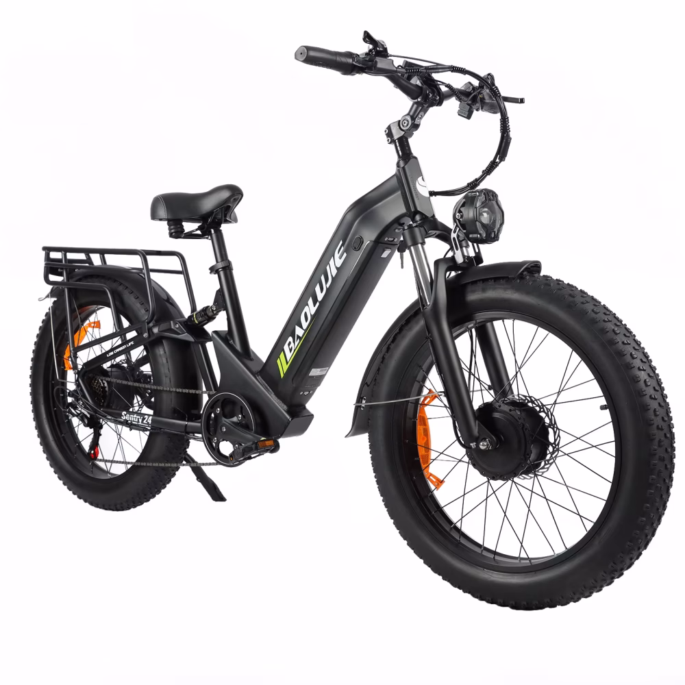 BAOLUJIE DP-2402 Dual Electric Bike product image view 1