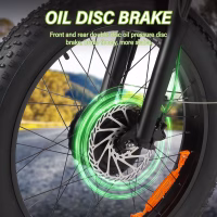 BAOLUJIE DP-2402 Dual Electric Bike product image view 8