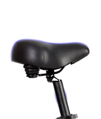 VICTRIP® Mimas Torque Sensor Step Thru Ebike product image view 14
