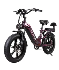 VICTRIP® Mimas Torque Sensor Step Thru Ebike product image view 11