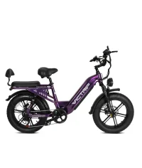 VICTRIP® Mimas Torque Sensor Step Thru Ebike product image view 9
