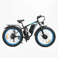 BAOLUJIE DP-2603 Dual Electric bicycle product image view 2