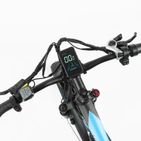 BAOLUJIE DP-2603 Dual Electric bicycle product image view 7