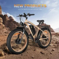 BAOLUJIE DP-2602-1 Adult Electric bicycle product image view 5