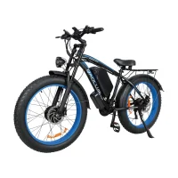 BAOLUJIE DP2602-1 Adult Electric bicycle product image view 4