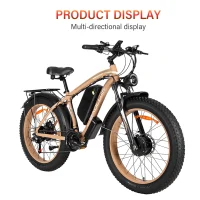 BAOLUJIE DP-2602-1 Adult Electric bicycle product image view 4