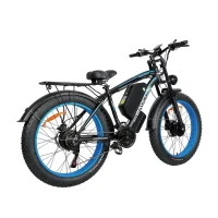 BAOLUJIE DP2602-1 Adult Electric bicycle product image view 3
