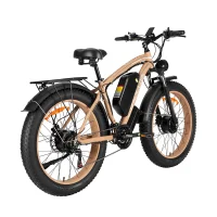 BAOLUJIE DP-2602-1 Adult Electric bicycle product image view 3