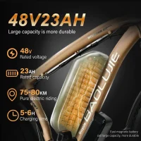 BAOLUJIE DP-2602-1 Adult Electric bicycle product image view 12
