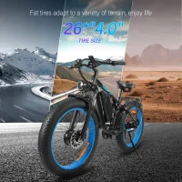 BAOLUJIE DP-2603 Dual Electric bicycle product image view 13