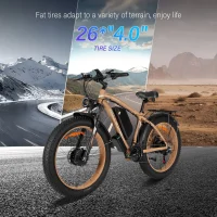 BAOLUJIE DP-2602-1 Adult Electric bicycle product image view 10