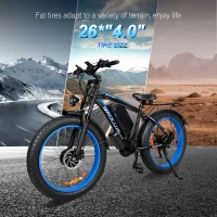 BAOLUJIE DP2602-1 Adult Electric bicycle product image view 9