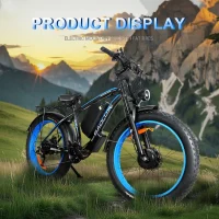 BAOLUJIE DP2602-1 Adult Electric bicycle product image view 8
