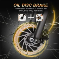 BAOLUJIE DP-2602-1 Adult Electric bicycle product image view 8