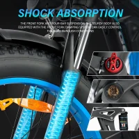 BAOLUJIE DP-2603 Dual Electric bicycle product image view 9