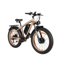 BAOLUJIE DP-2602-1 Adult Electric bicycle product image view 1
