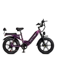 VICTRIP® Mimas Torque Sensor Step Thru Ebike product image view 8