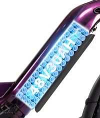 VICTRIP® Mimas Torque Sensor Step Thru Ebike product image view 3