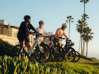 HEYBIKE Venus Electric Bike product image view 19