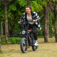 5TH WHEEL Knight Retro Electric Bike product image view 8