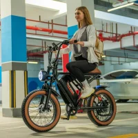 5TH WHEEL Knight Retro Electric Bike product image view 7