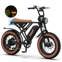 5TH WHEEL Knight Retro Electric Bike product image view 6